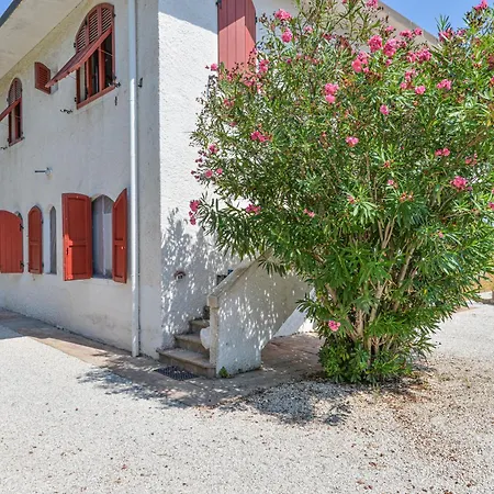 Elba Bellavista -- Casa Cerboli -- بيت للعطل